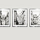 Order Paris Painting Triptych black and white fine art photographs of the city 'streets of Paris'. Rivulet Photography (rivulet). Livemaster. . Fine art photographs Фото №3