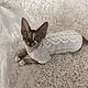 Sweater for animals, Pet clothes, Klin,  Фото №1