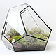 Mossarium. Florarium with real live moss. Freeform. Florariums. Glass Flowers. My Livemaster. Фото №5