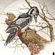 Painted porcelain. A set of 'Bird Quartet». Dinnerware Sets. Frida Gots. Online shopping on My Livemaster.  Фото №2