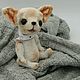 Dog toy Teddy. Chihuahua, Stuffed Toys, Stavropol,  Фото №1
