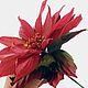 Flowers for New Year's composition / interior poinsettia flower. Bouquets. fancyflower. Online shopping on My Livemaster.  Фото №2