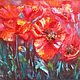 Oil painting with poppies 40/50 'Invite for a walk', Pictures, Murmansk,  Фото №1