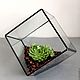 The Floriana.Interior stained-glass Floriana. Mini garden plant. Florariums. Glass Flowers. My Livemaster. Фото №4