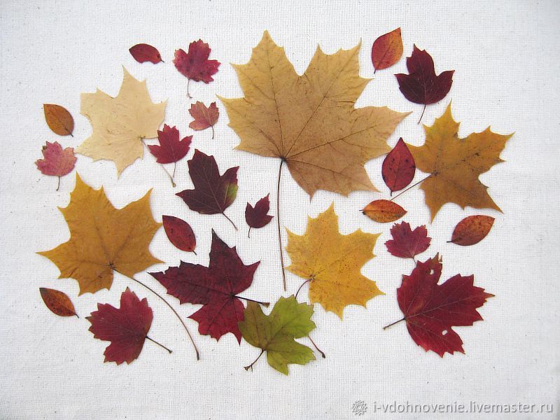 Поделки осенние из листьев и цветов: идеи по изготовлению своими руками (41 фото)