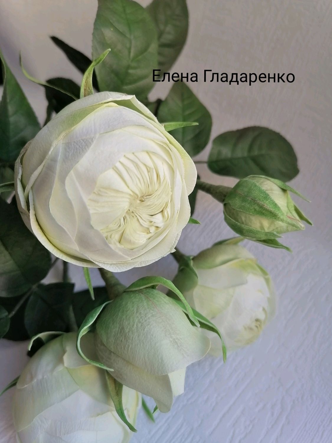 Розы сорта Веддинг пиано в интернет-магазине Ярмарка Мастеров по цене ...