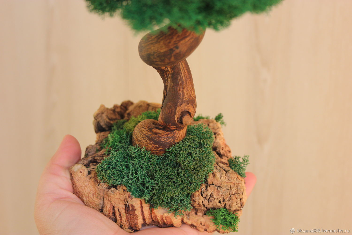 живой мох дерево. цетрария исландская на дереве. цетрария исландский мох дерево. живой мох дерево. дерево декоративное.