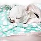 Marshmallow blanket, Accessories for Pets, Moscow,  Фото №1