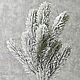Ветка снежной елочки 12598, Цветы искусственные, Москва,  Фото №1
