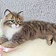Siberian cat ' Nyasha', Felted Toy, Moscow,  Фото №1