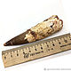 SPINOSAURUS tooth fossil length 112 mm 95 million years. Amulet. Urbanstyle. Online shopping on My Livemaster.  Фото №2