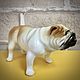 English Bulldog: author's figurine. Figurines. Creative workshop Cheerful porcelain. My Livemaster. Фото №6