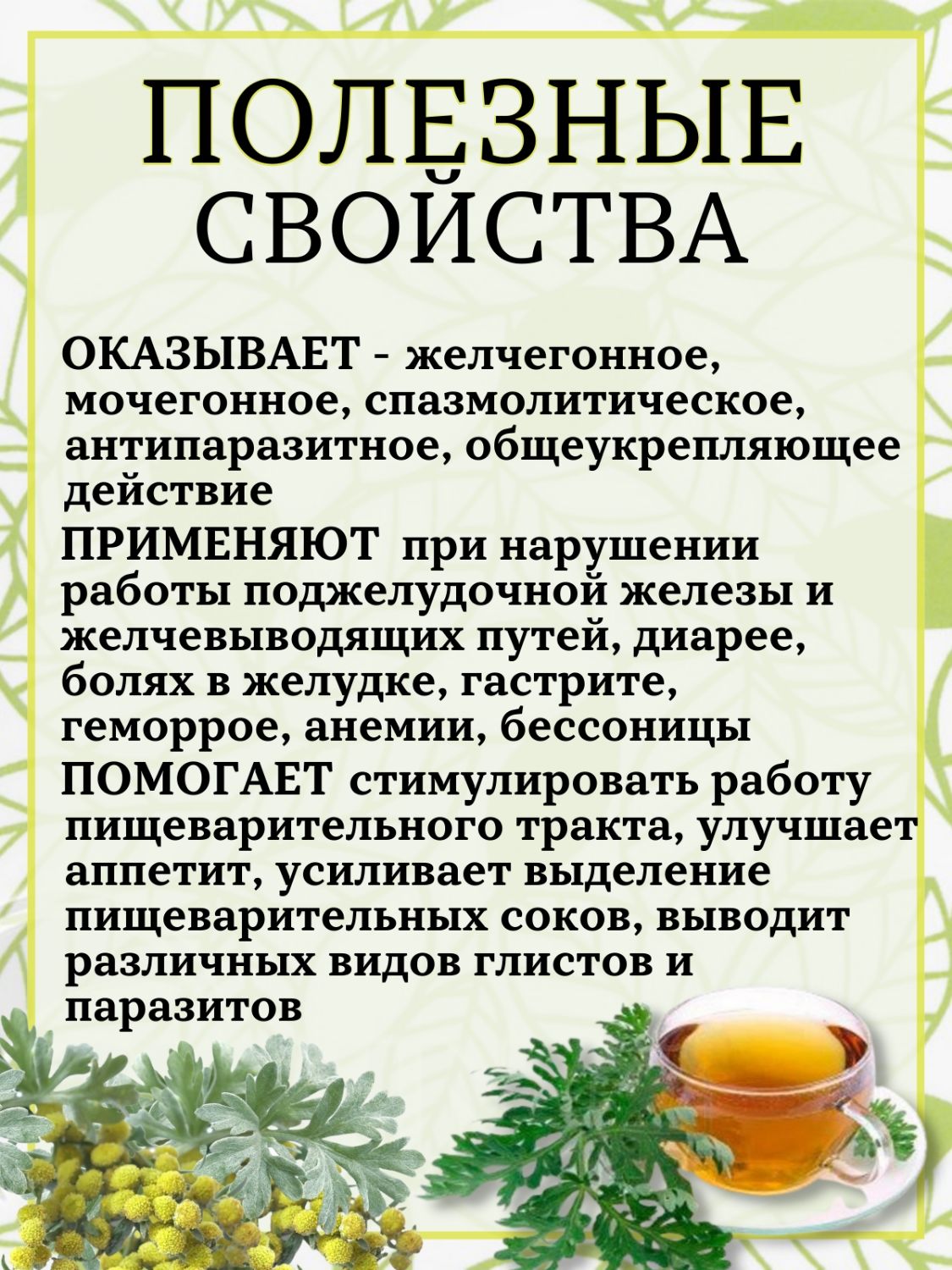 Полынь горькая (серебристая) 