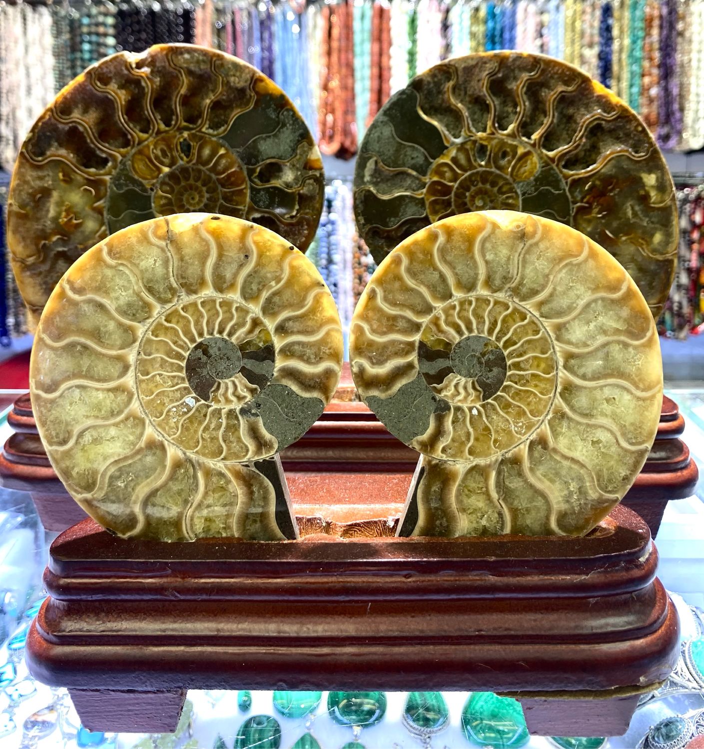 АММОНИТЫ 80; 120; 160 мм купить в интернет-магазине Ярмарка Мастеров по цене 3600 ₽ – TE6VORU, Камни, Москва - доставка по России