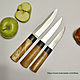 Набор кухонных ножей из кованой стали Х12МФ набор ножей для кухни, Кухонные ножи, Новошахтинск,  Фото №1