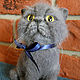 Toy of wool cat Martha - the dull cat in the world. Felted Toy. Usik-cat store. Online shopping on My Livemaster.  Фото №2
