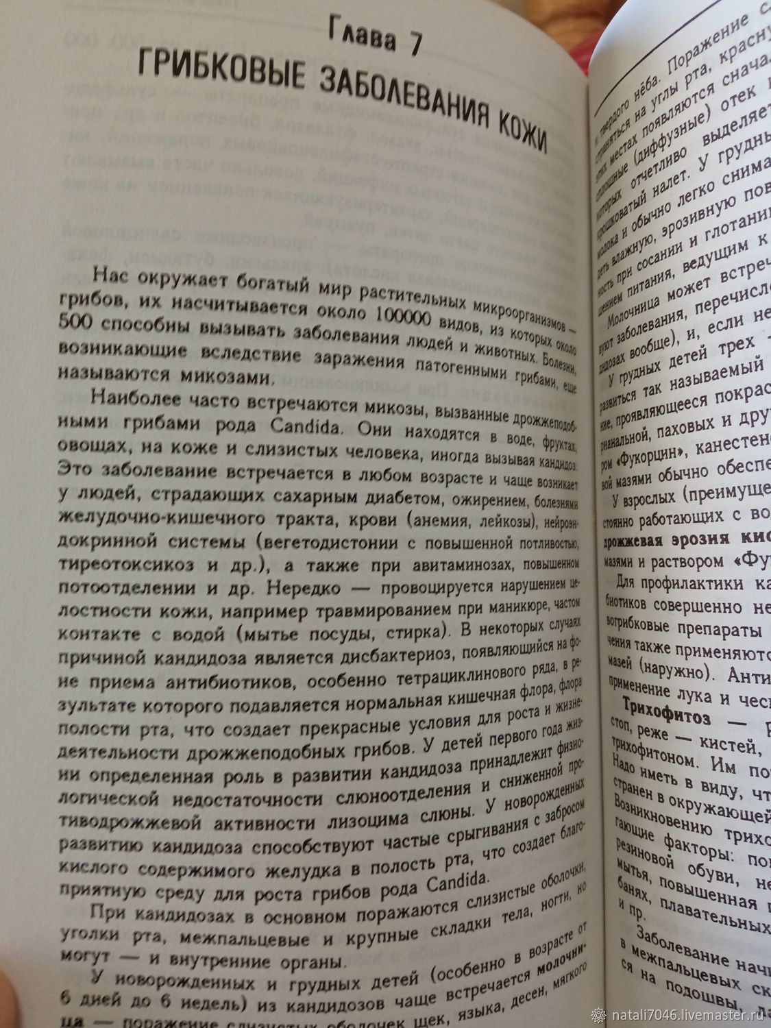 Винтаж: Книги винтажные: Краткий лечебный справочник Терра Русский дом  купить в интернет-магазине Ярмарка Мастеров по цене 250 ₽ – V0BDYRU | Книги  винтажные, Наро-Фоминск - доставка по России