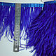 Trim of ostrich feathers 10-15 cm ultramarin, braid, Moscow,  Фото №1