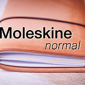 Канцелярские товары handmade. Livemaster - original item Leather notebook with Moleskin blocks 21*13cm (2-3 notebooks). Handmade.