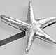 04014 - Морская звезда 20 мм 925 серебро, Фурнитура, Москва,  Фото №1