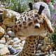 Giraf teddy Goga. Stuffed Toys. Happy Dolls and Bears (Xaxa1512). My Livemaster. Фото №4