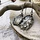 Silver Holly leaf earrings, Earrings, Santander,  Фото №1