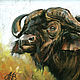  Buffalo (Bull). Print from the author's work. Pictures. Valeria Akulova ART. Online shopping on My Livemaster.  Фото №2