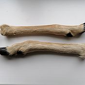 Материалы для творчества handmade. Livemaster - original item Roe deer legs. Handmade.