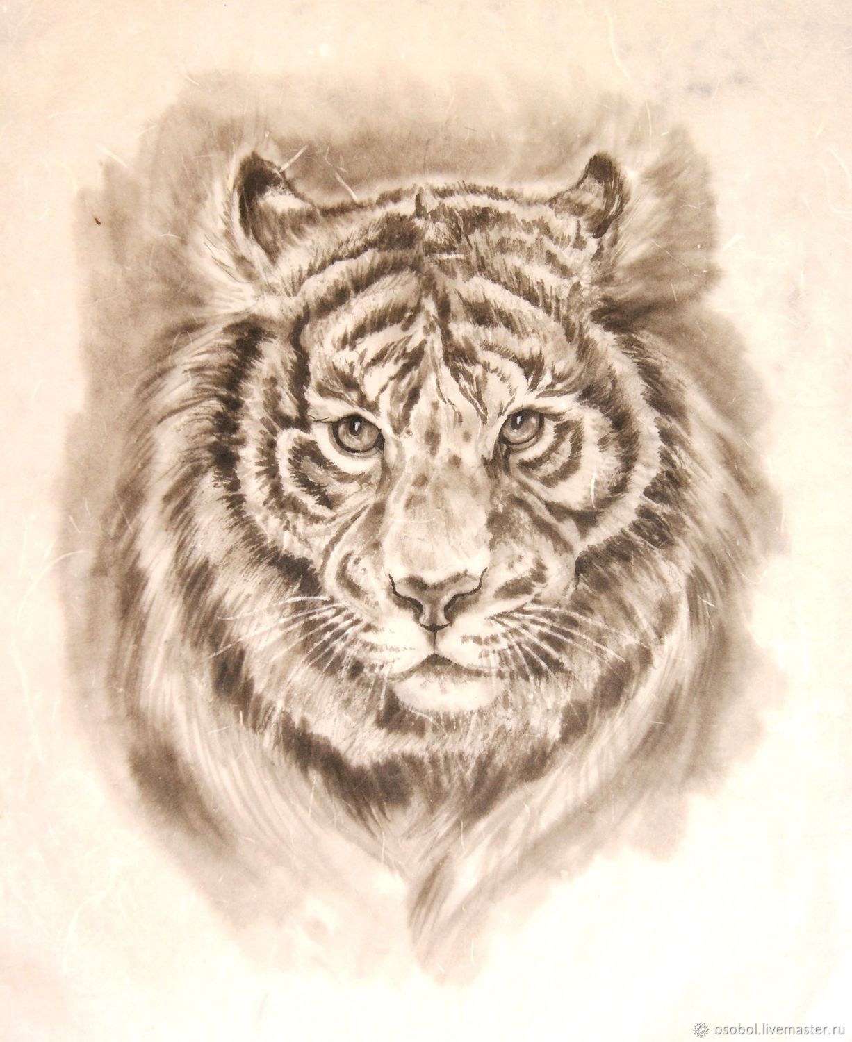 Тигр рисунок тушью