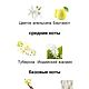 Духи ручной работы, реплика аромата Май Вей 15 мл. Духи. Ольга и Людмила (honeybee-soapbar). Ярмарка Мастеров.  Фото №4