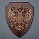 Panel Coat of Arms of Russia on the background of the heraldic shield, Panels, Pyatigorsk,  Фото №1
