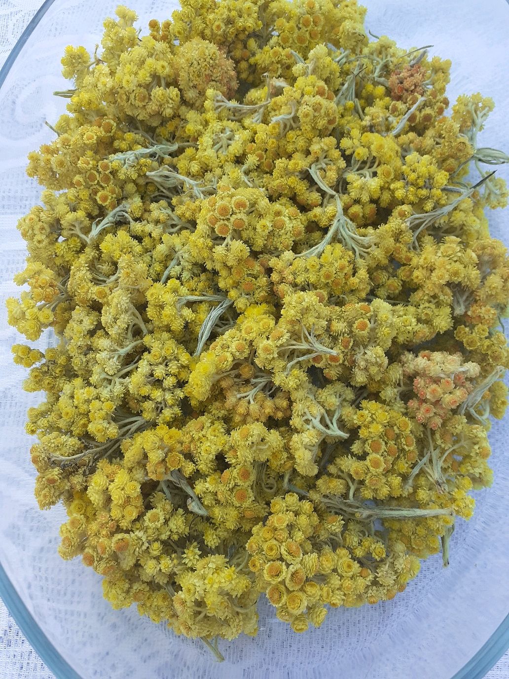 Травы: Бессмертник(цмин)(сбор 2024) в наличии купить в интернет ...