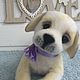 The puppy Labrador Beatrice. Stuffed Toys. Toys for the soul. Online shopping on My Livemaster.  Фото №2