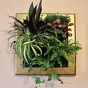 Картины и панно handmade. Livemaster - original item Fotokartin of living plants. Handmade.