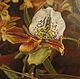 Картина маслом Орхидея, Картины, Нижний Новгород,  Фото №1