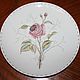 Charming plate with a rose, hand painted, botany, Germany, Vintage interior, Moscow,  Фото №1