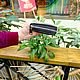 Кошелек из кожи крокодила. Кошельки. Мир экзотических изделий. Ярмарка Мастеров.  Фото №5