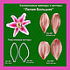 Lily Petals A large set of Cutters and Viners, Cutters, Rostov-on-Don,  Фото №1