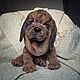 Realistic Stuffed Animal: Bloodhound Puppy. Stuffed Toys. Teddybeasts. My Livemaster. Фото №4