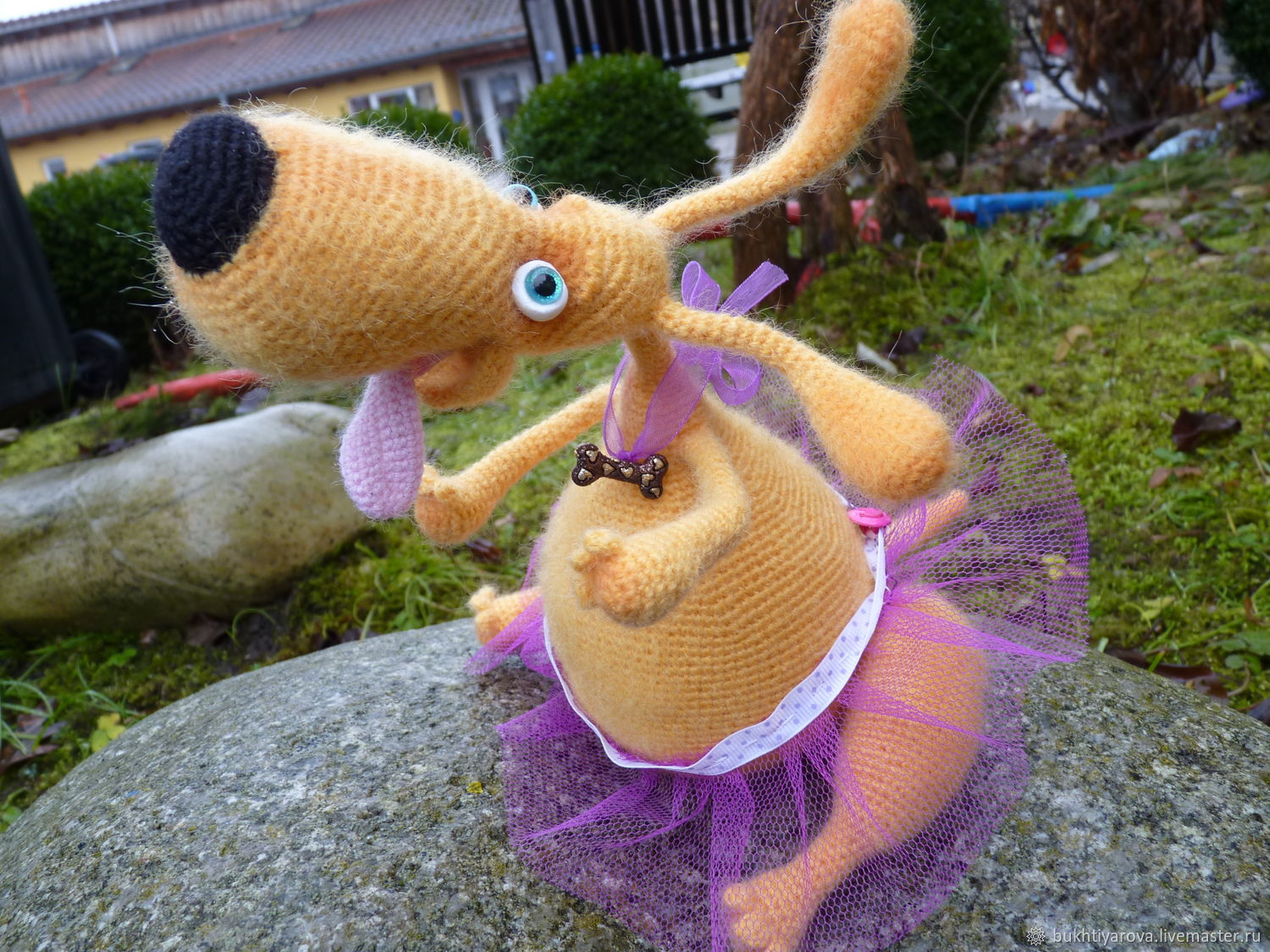 Собака Дуся размером с кошку. 1,5 года, 4 кг. Стерилизована. - Страница 2 - Фору