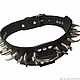 Collars: Leather collar width 5 cm. Dog - Collars. AGAT Galina. My Livemaster. Фото №5