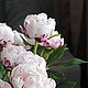Пионы розовые из холодного фарфора, Композиции, Москва,  Фото №1
