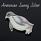 Brooch-pin: Penguin made of 925 sterling silver, zircons and abalone HS0017, Brooches, Yerevan,  Фото №1