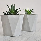 Цветы и флористика handmade. Livemaster - original item Almaz concrete planters with faces architecture, a Loft for cacti. Handmade.