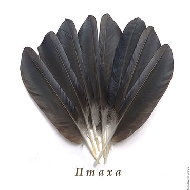 Магазин мастера "Птаха" (vbgptaha) на Ярмарке Мастеров | Выборг