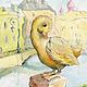 Duck on the Griboyedov Channel Postcard or Poster, Cards, St. Petersburg,  Фото №1