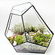 Order Mossarium. Florarium with real live moss. Freeform. Glass Flowers. Livemaster. . Florariums Фото №3