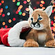 Kitten Caracal. Teddy Toys. Katerina Salomatina (Gudozhnikova). Online shopping on My Livemaster.  Фото №2