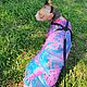 Cat Clothes 'Jumpsuit with cap- Tropics Neon'. Pet clothes. Happy-sphynx. Online shopping on My Livemaster.  Фото №2