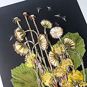 Картина из прессованных сухоцветов А3 абстракция для рамы 40х50